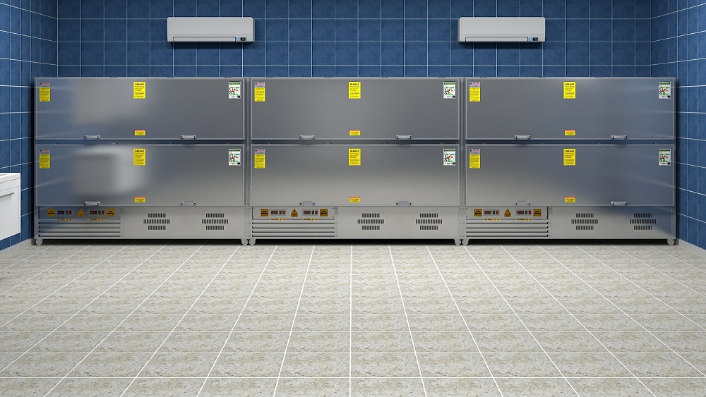 1 (25)